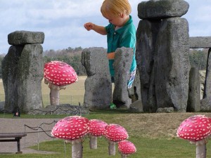 DJ-Stonehenge-mushrooms